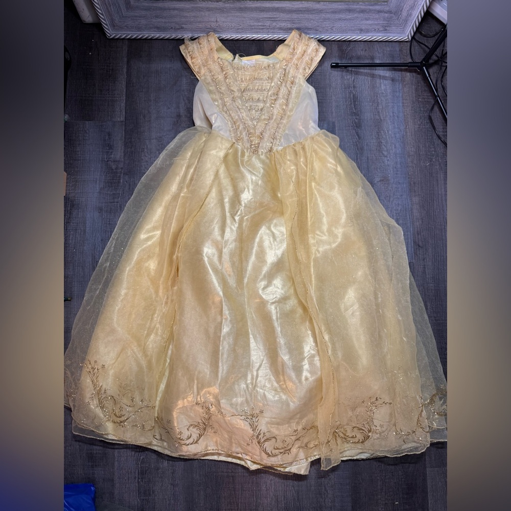 Disney Gold Princess Ball Gown Costume